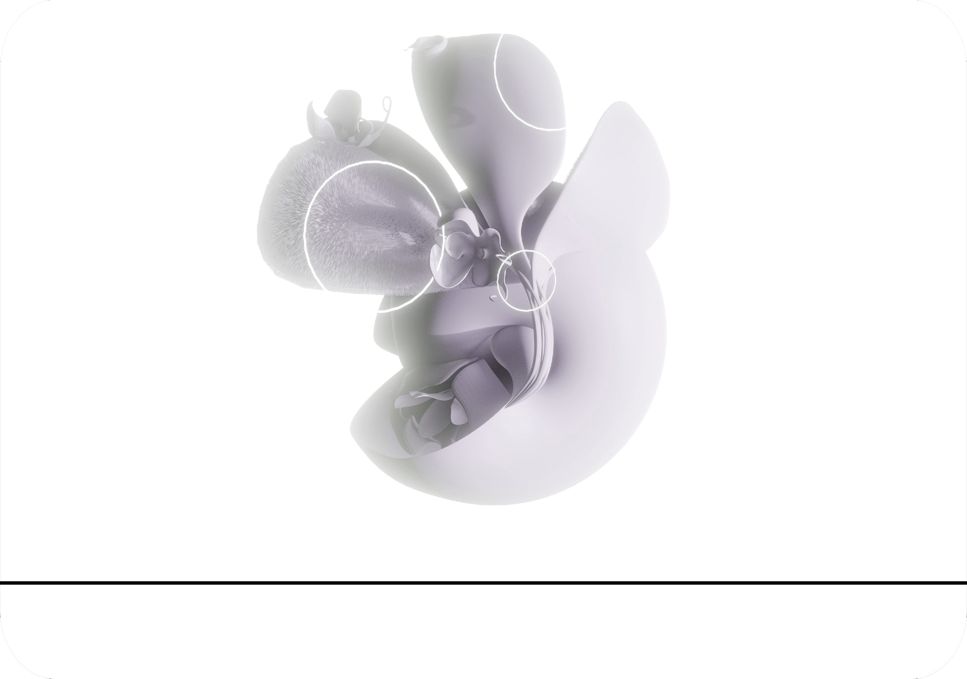 DEEP-SKIN - à fleur de peau